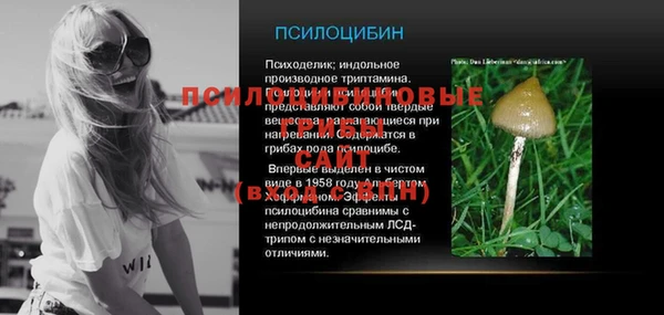индика Володарск