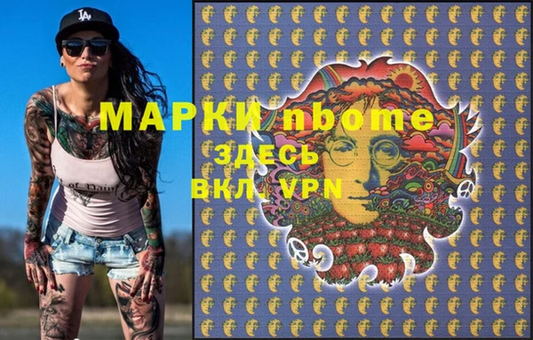 индика Володарск