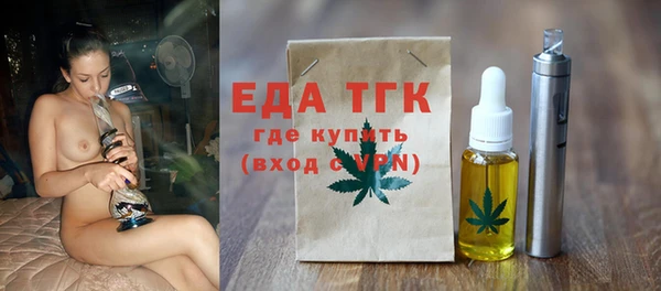 индика Володарск