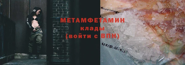 индика Володарск