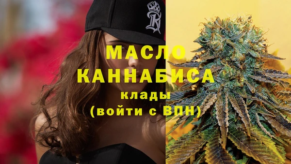индика Володарск