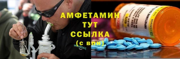 индика Володарск