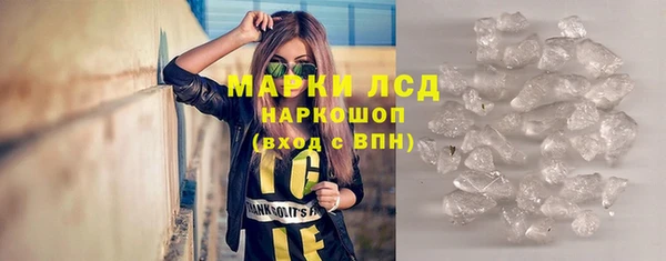 индика Володарск