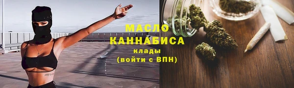 индика Володарск