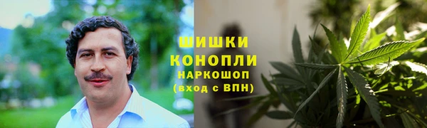 PSILOCYBIN Волоколамск