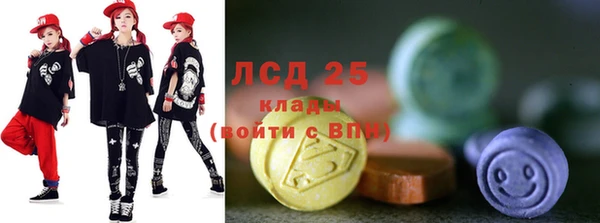 индика Володарск