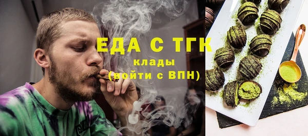 индика Володарск