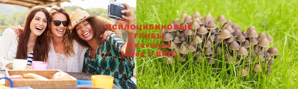 PSILOCYBIN Волоколамск