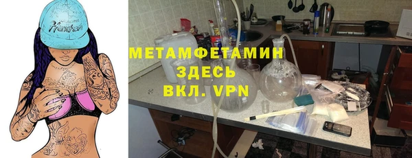 индика Володарск