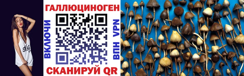 Псилоцибиновые грибы Magic Shrooms  Каменск-Шахтинский 